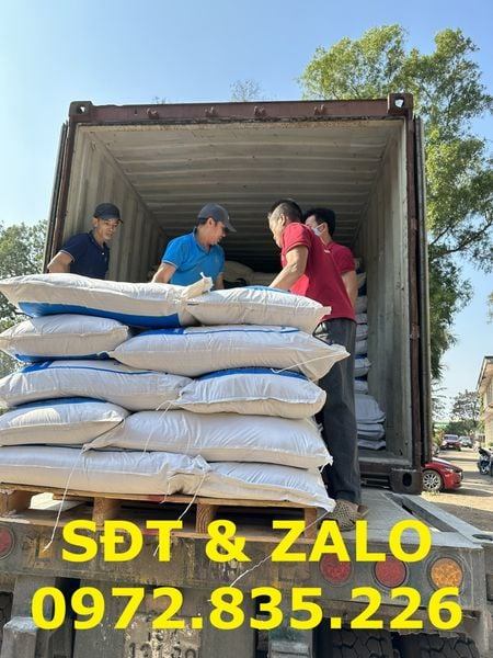 Thiourea Dioxide chất khử trong nhuộm lưu huỳnh