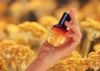 Cách Dùng Immortelle Reset Serum Giúp Da Tươi Tắn, Trẻ Trung