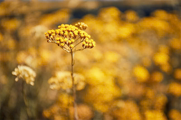 Voucher chào mừng thành viên mới