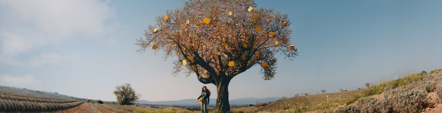 Ưu Đãi Đặc Biệt