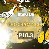 Tuyển Tập Thơ: 1000 Bài Thơ Châm Ngôn Của Thái Bá Tân - Châm Ngôn Năm Chữ – Đọc Để Hiểu Mình, Hiểu Đời ( P10.3 )