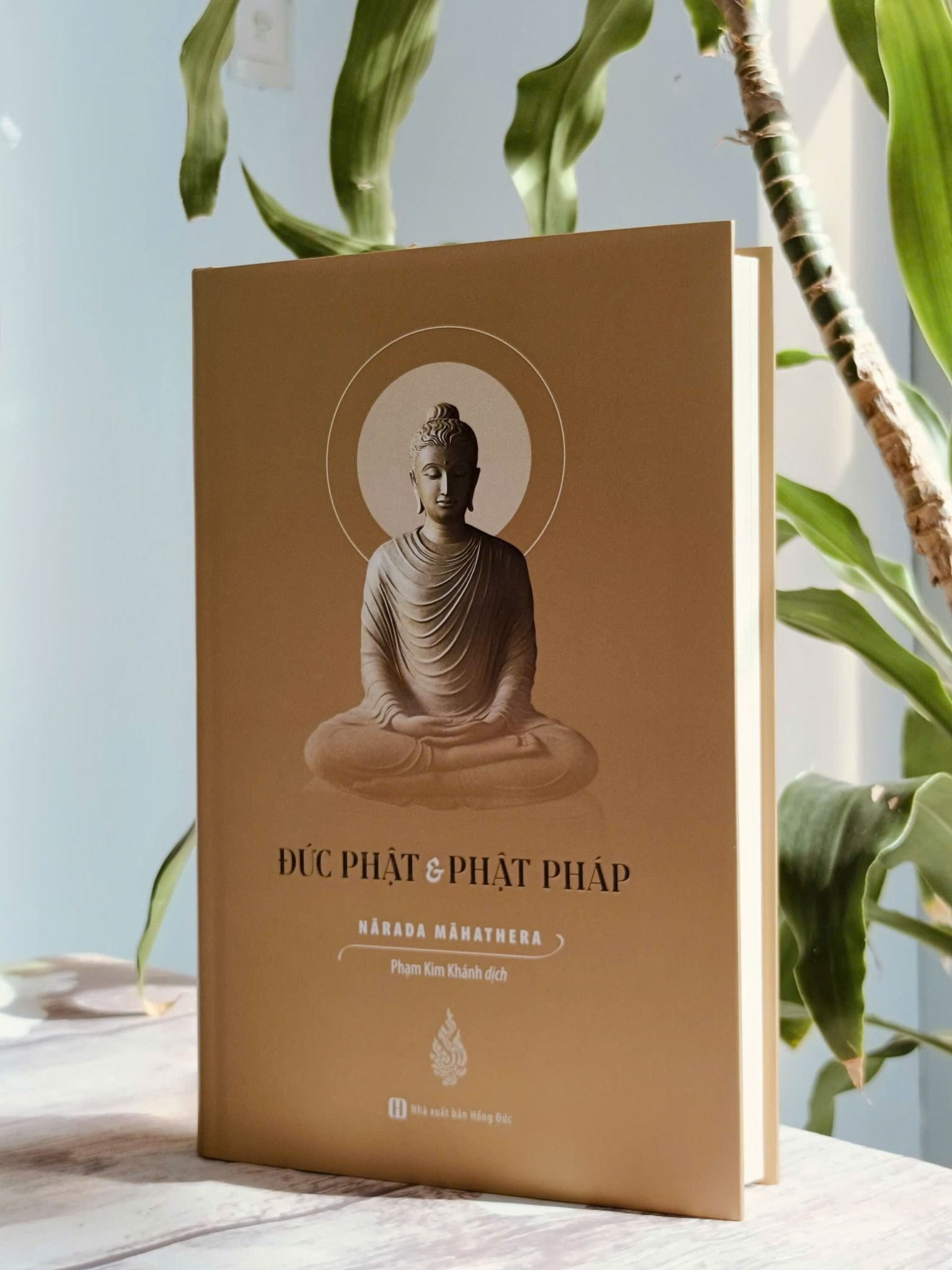 Review Sách: Đức Phật Và Phật Pháp (Phạm Kim Khánh dịch) – Cuộc Cách Mạng Tinh Thần Đưa Con Người Ra Khỏi Bến Mê