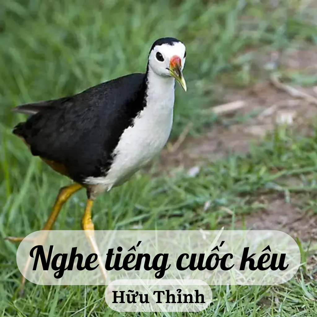 Tuyển Tập 100 Bài Thơ Hay: Hữu Thỉnh Và Tiếng Lòng Tha Thiết Trong Bài Thơ Nghe Tiếng Cuốc Kêu