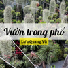 Tuyển Tập 100 Bài Thơ Hay: Vườn Trong Phố - Nơi Tìm Thấy Chất Thơ Trong Cuộc Sống Thường Nhật Của Lưu Quang Vũ