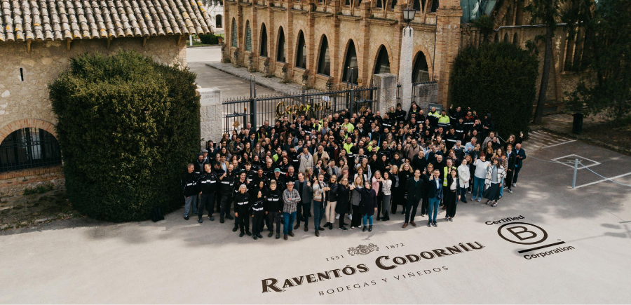 CODORNÍU ĐẠT CHỨNG NHẬN B-CORP | CỘT MỐC ĐƯỢC NUÔI DƯỠNG TỪ GIÁ TRỊ CỐT LÕI