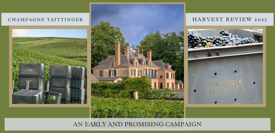 CHAMPAGNE TAITTINGER | HARVEST REVIEW 2025 - AN EARLY AND PROMISING CAMPAIGN