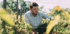 BRUMONT TRIUMPHS IN LE GUIDE DES MEILLEURS VINS DE FRANCE 2027