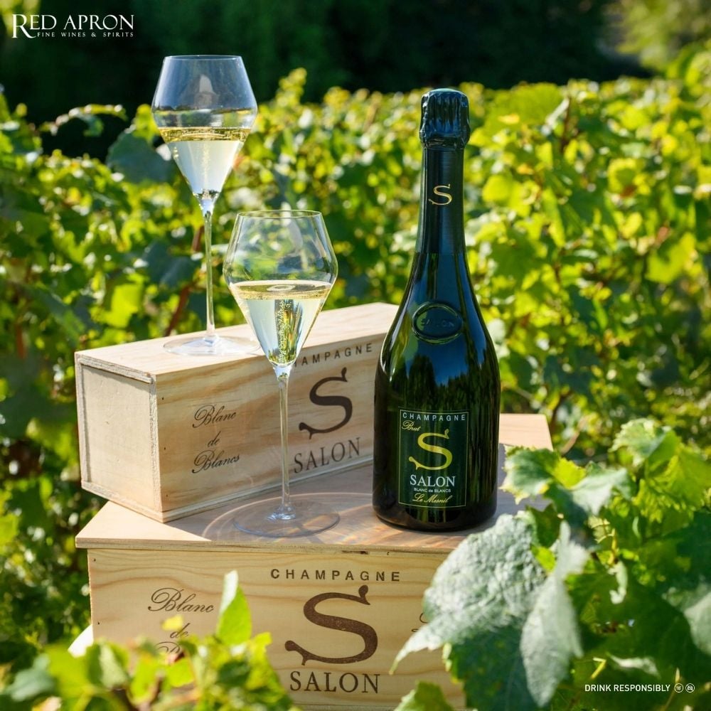 Vườn nho Chardonnay Grand Cru tại Le Mesnil-sur-Oger nơi sản xuất Champagne Salon
