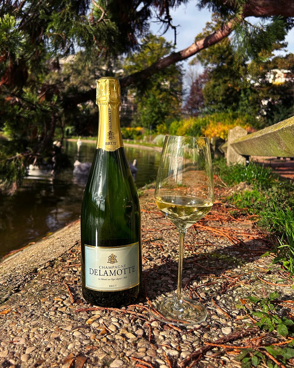 Hình Champagne Delamotte phù hợp người mới uống, gợi ý chọn Brut cho sự cân bằng và dễ uống.