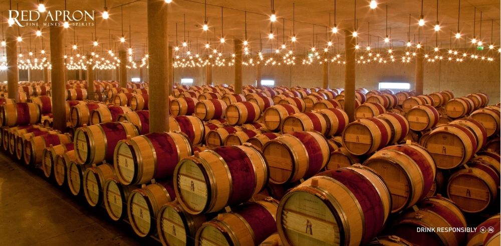 Nhân công đang hái thủ công các chùm nho Cabernet Sauvignon chín mọng tại vườn nho Chateau Latour với mật độ trồng cao khoảng 10.000 cây/ha theo phương pháp canh tác bền vững.