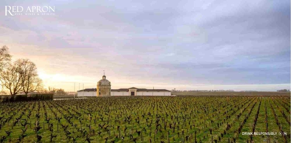 Toàn cảnh vườn nho Chateau Latour ở phía nam Pauillac, gần bờ sông Gironde với khí hậu ôn hòa giúp nho Cabernet Sauvignon chín đều và ổn định.