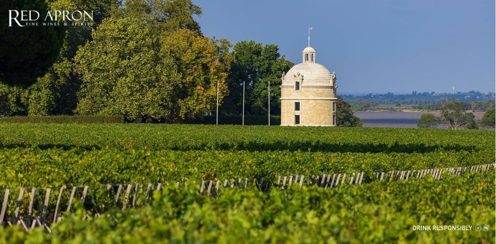 Hình ảnh tòa tháp cổ La Tour de Saint-Maubert – biểu tượng được in trên nhãn chai rượu vang Chateau Latour, đại diện cho truyền thống và sức mạnh vùng Pauillac.