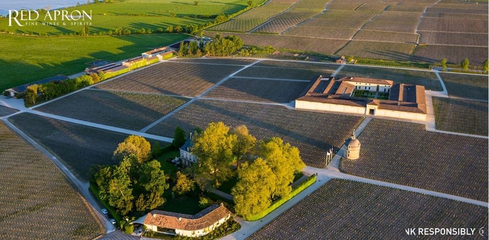 Cận cảnh nhãn chai rượu vang Chateau Latour Premier Cru Classé Pauillac, nằm trong nhóm năm điền trang hàng đầu Bordeaux theo bảng phân loại 1855.