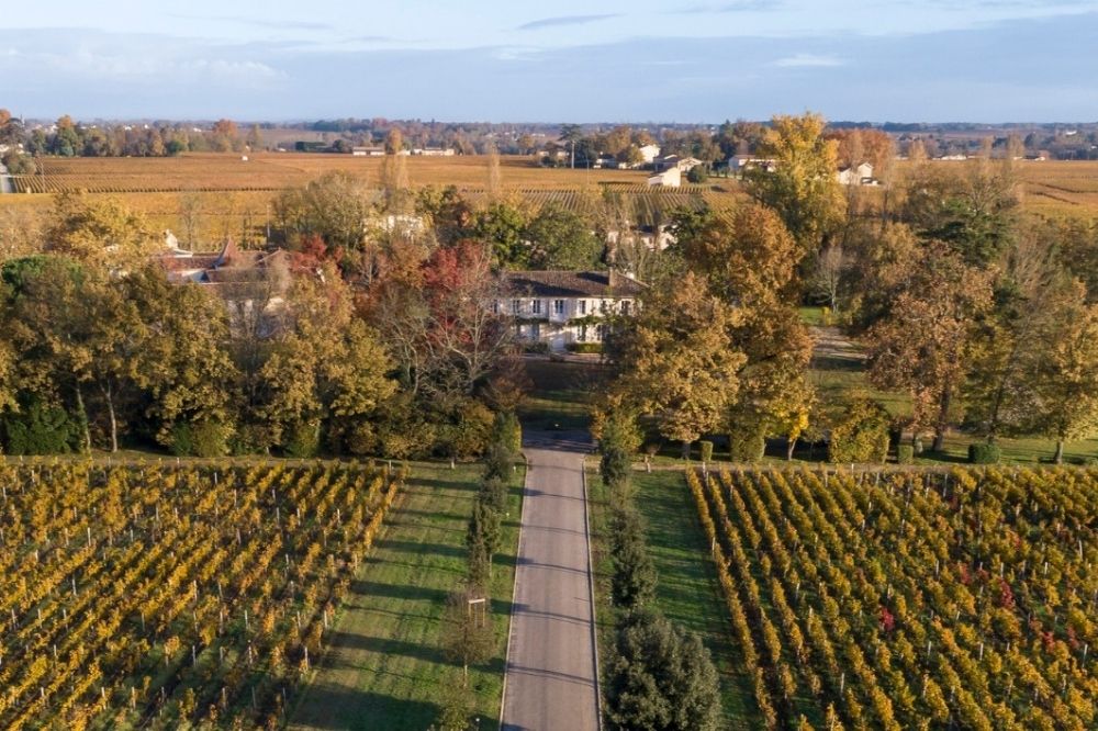 Vườn nho Chateau Montlabert trên nền đất đá vôi và đất sét tại Saint Emilion