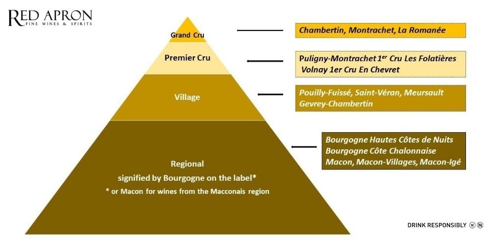 Cote de Nuits – sơ đồ phân hạng: Bourgogne, Village, Premier Cru, Grand Cru.
