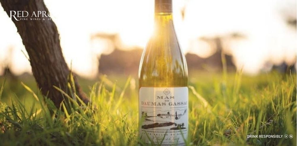 Chai rượu vang trắng Mas de Daumas Gassac đặt trên cỏ dưới ánh hoàng hôn, đại diện cho nhà sản xuất biểu tượng của vùng Languedoc Roussillon.
