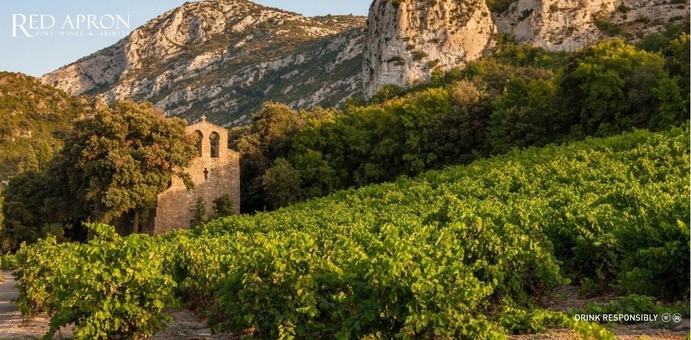 Vườn nho xanh mướt ở Languedoc Roussillon với nhà nguyện đá nhỏ và dãy núi phía sau, minh họa điều kiện tự nhiên cho rượu vang chất lượng.