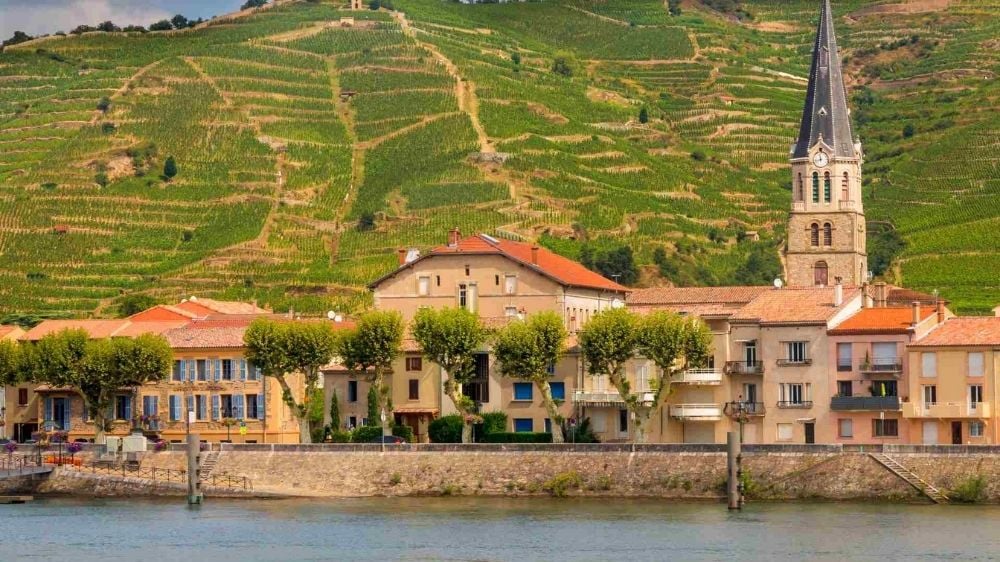Thành phố Avignon tại Pháp, nơi từng góp phần đưa rượu vang Rhone Valley nổi tiếng khắp châu Âu