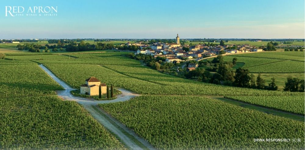 Ảnh terroir Saint Estephe: đá sỏi trên bề mặt và lớp đất sét bên dưới trong vườn nho Bordeaux.