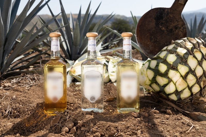 Gợi ý các thương hiệu Tequila nổi tiếng