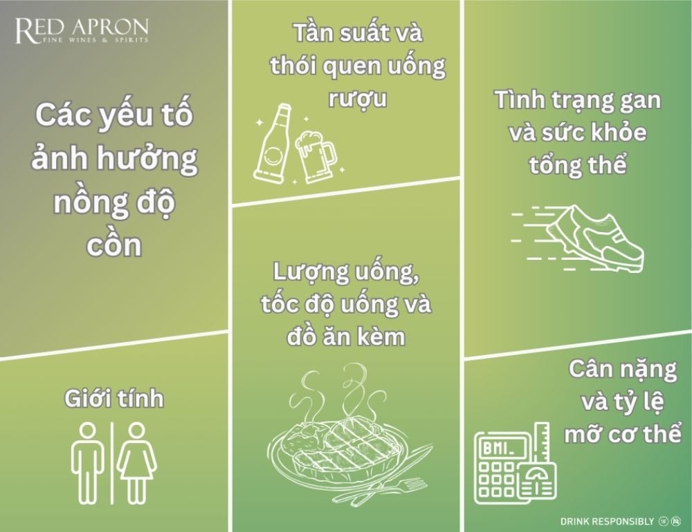 Minh họa người có cân nặng hoặc tình trạng sức khỏe khác nhau uống bia minh họa yếu tố ảnh hưởng đến nồng độ cồn trong máu