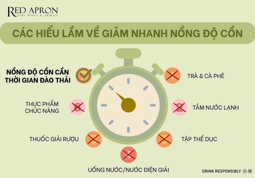 Minh họa phương pháp hỗ trợ triệu chứng nhưng không rút ngắn thời gian đào thải cồn