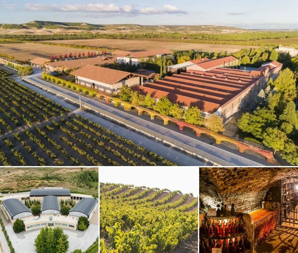 Vườn nho và khu sản xuất của Bodegas Vega Sicilia tại Tây Ban Nha