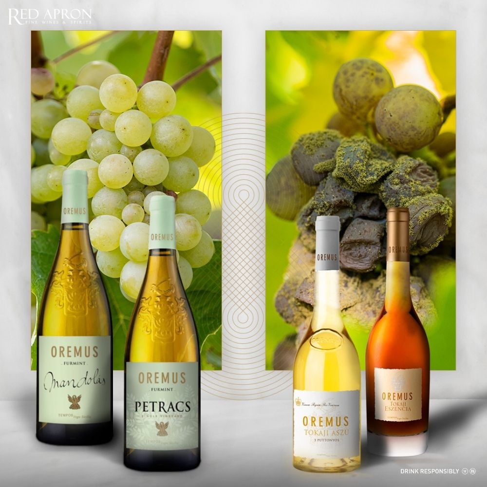 Chai Oremus Tokaj by Vega Sicilia với phong cách vang ngọt Hungary