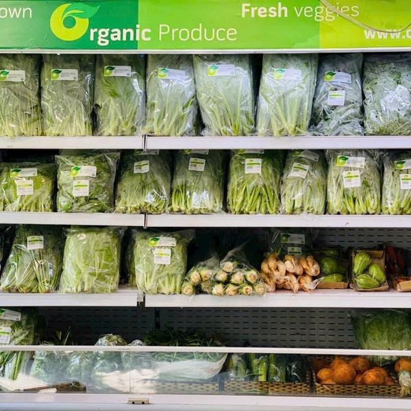 Giá rau hữu cơ hiện nay dù đắt vẫn tấp nập người mua và lý do khiến ai cũng bất ngờ