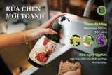Nước Rửa Chén Sinh Học Là Gì? Cách Chọn Loại Lành Tính Cho Gia Đình