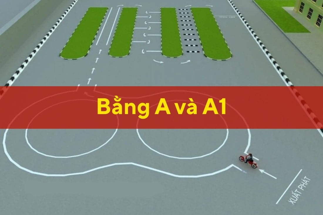 Bằng A Và A1 Khác Nhau Như Thế Nào? Nên thi bằng A hay A1