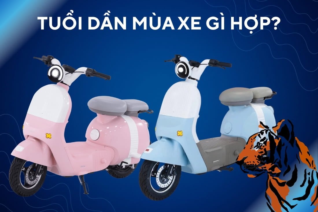 Tuổi Dần Mua Xe Hợp Màu Gì Để Hút Tài Lộc, May Mắn?