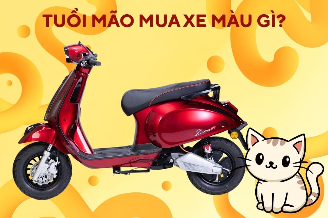 Tuổi Mão Mua Xe Màu Gì Hợp Mệnh, Thu Hút Tài Lộc?