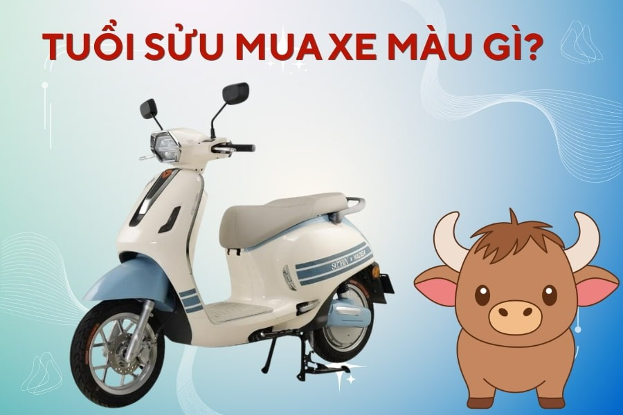 Tuổi Sửu Mua Xe Hợp Màu Gì Và Kiêng Kỵ Màu Gì?