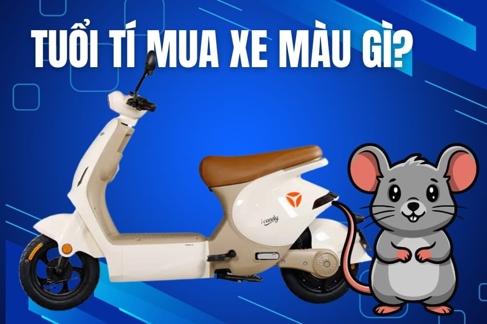 Tuổi Tý Mua Xe Hợp Màu Gì Hút Tài Lộc, May Mắn?