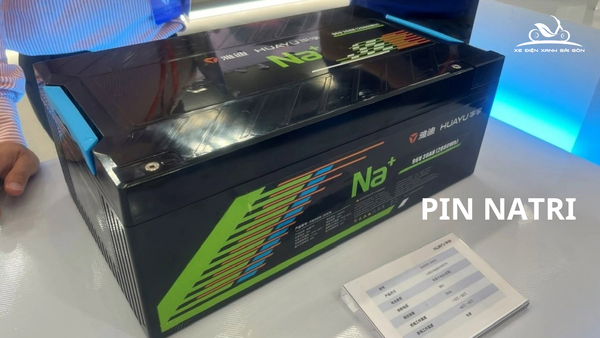 pin-natri
