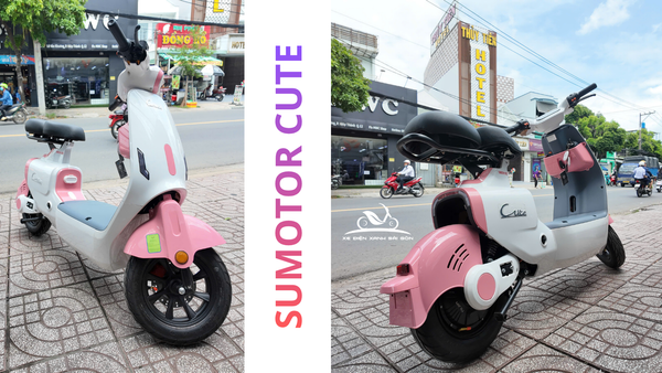 sumotor-cute