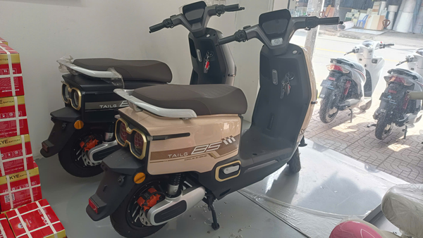 TAILGF52-showroom