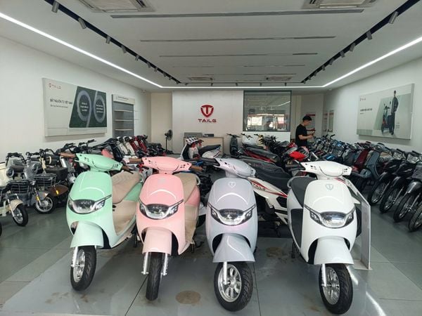 TAILGR53-showroom