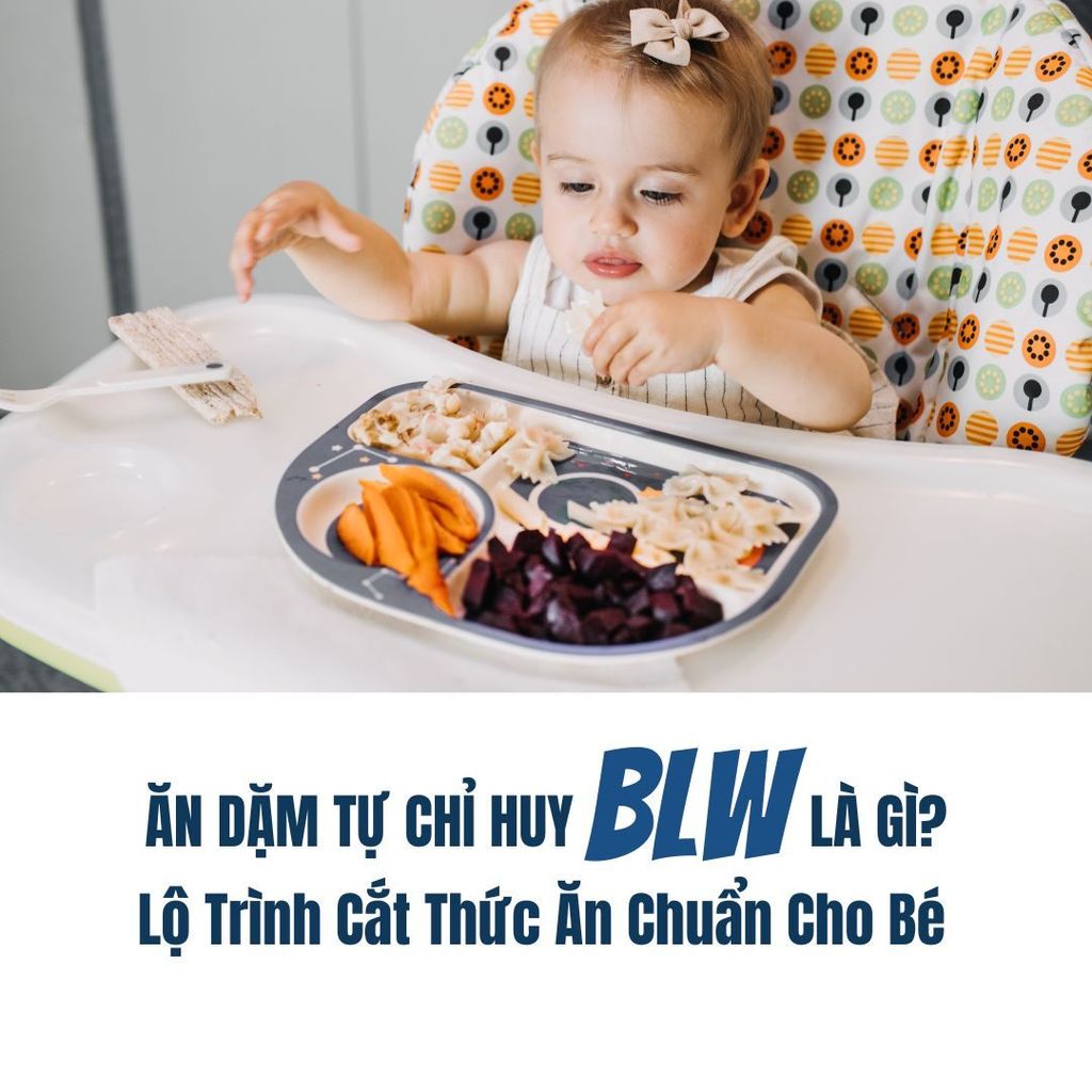 TẤT TẦN TẬT VỀ ĂN DẶM TỰ CHỈ HUY (BLW): ĐỂ CON TỰ LẬP, MẸ THẢNH THƠI NGAY TỪ MIẾNG ĂN ĐẦU ĐỜI
