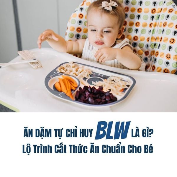 TẤT TẦN TẬT VỀ ĂN DẶM TỰ CHỈ HUY (BLW): ĐỂ CON TỰ LẬP, MẸ THẢNH THƠI NGAY TỪ MIẾNG ĂN ĐẦU ĐỜI