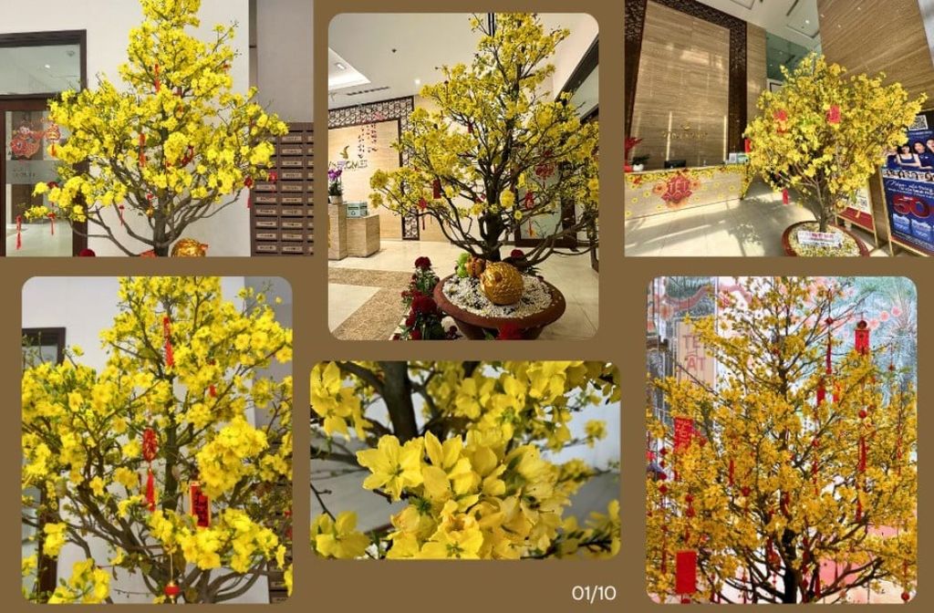 Caption Đăng Bán Mai Tết - Stt Cho Thuê Mai Tết Hay Nhất