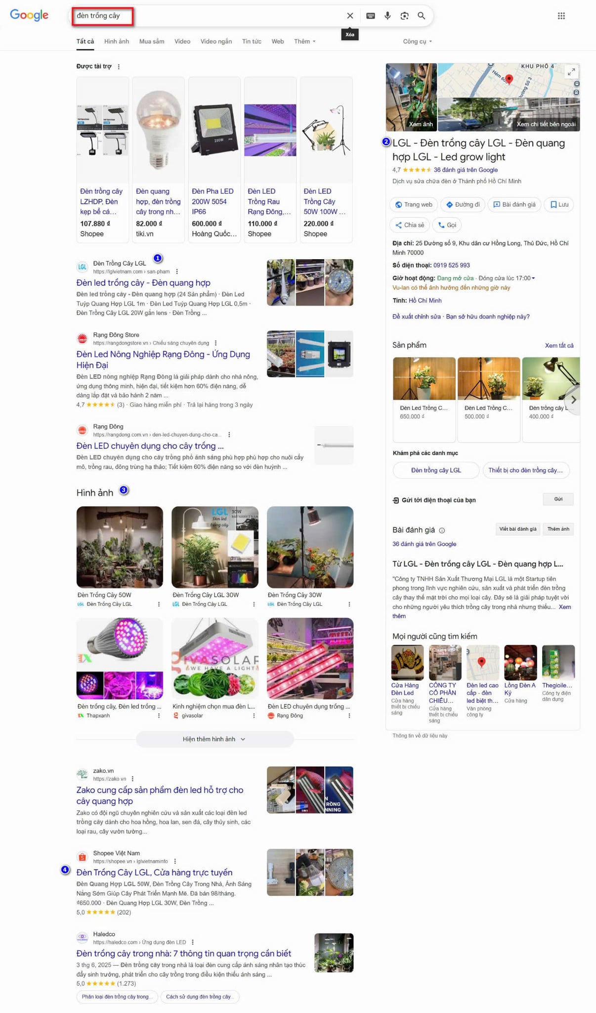 Dịch vụ viết bài chuẩn SEO