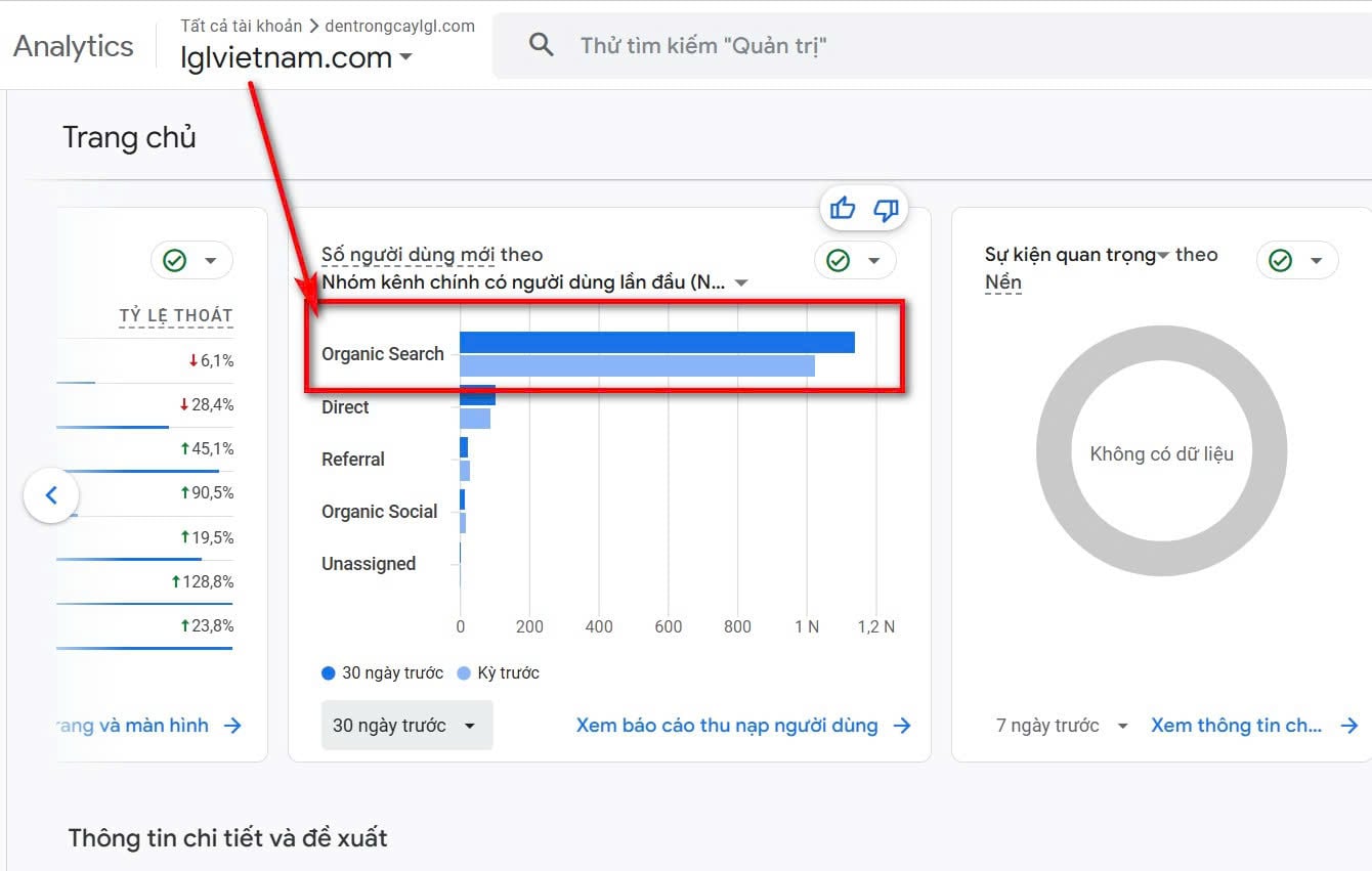 Kết quả dùng dịch vụ viết bài chuẩn SEO tại Coraptix