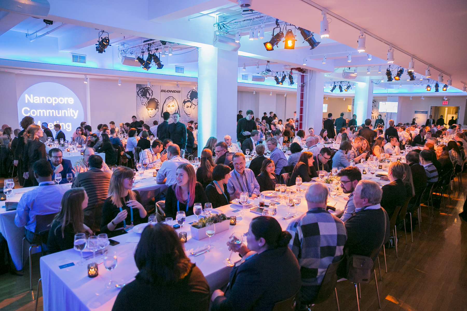 quay chụp khai trương