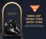Nesty – Bước Tiến Vững Chắc Từ Những Đôi Giày Chính Hãng Việt Nam