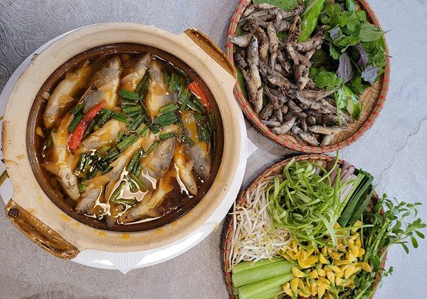 Cá heo nước ngọt làm món gì ngon? 4 món ngon từ cá heo nước ngọt