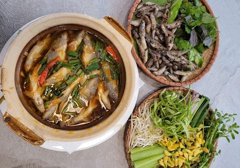 Cá heo nước ngọt làm món gì ngon? 4 món ngon từ cá heo nước ngọt