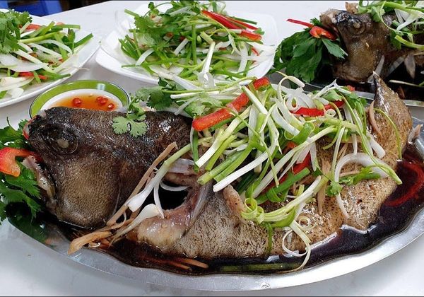 2 Cách làm cá mú hấp xì dầu, cá mú hấp Hồng Kông ngon tròn vị