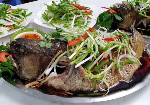 Cá mú làm món gì ngon? Gợi ý 8 món ngon từ cá mú